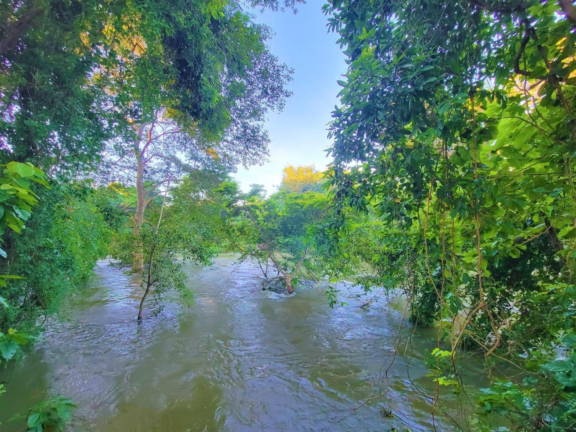 Jami River Side Hotel & Yala Safari Place Tissamaharama Exterior foto